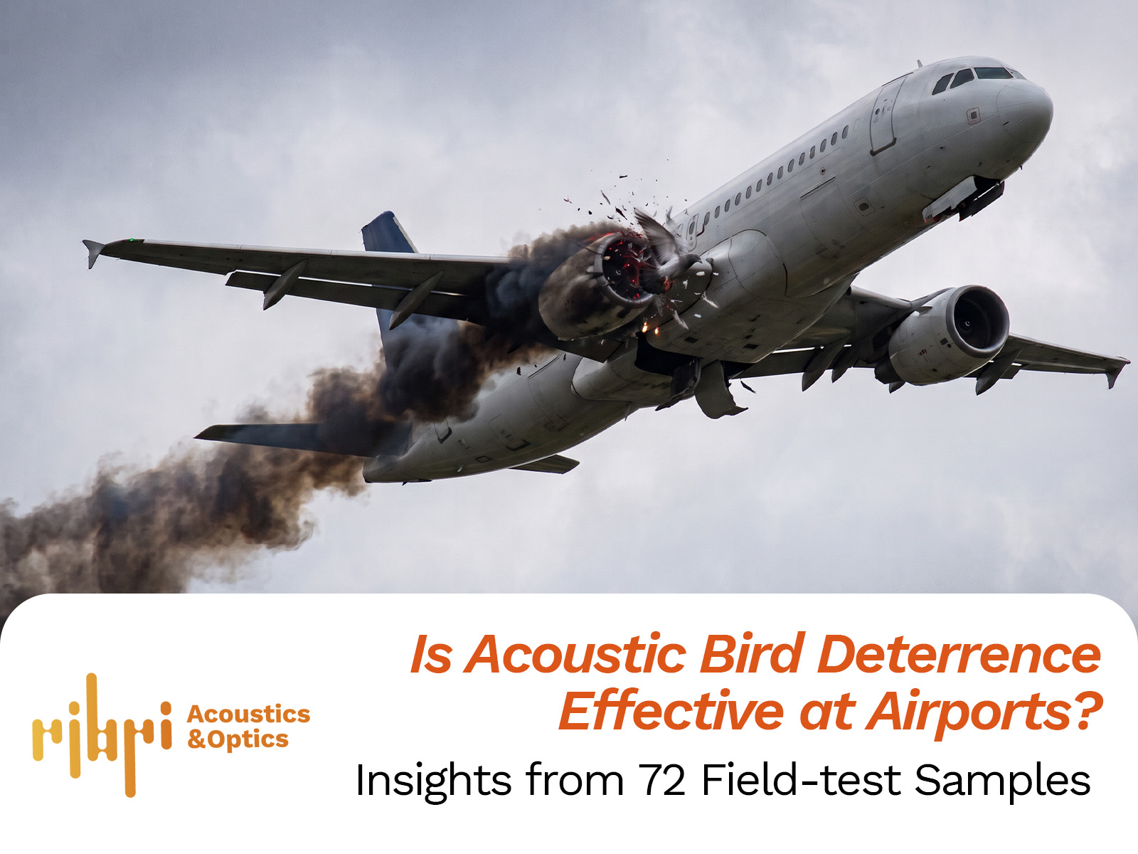 Is Acoustic Bird Deterrence Effective at Airports