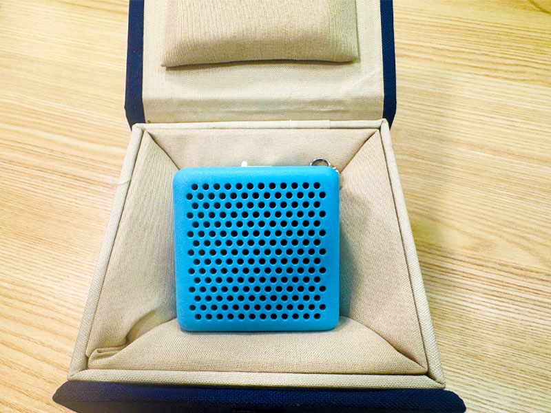 How Can Acoustic Early Warning Systems Enhance Disaster Preparedness?