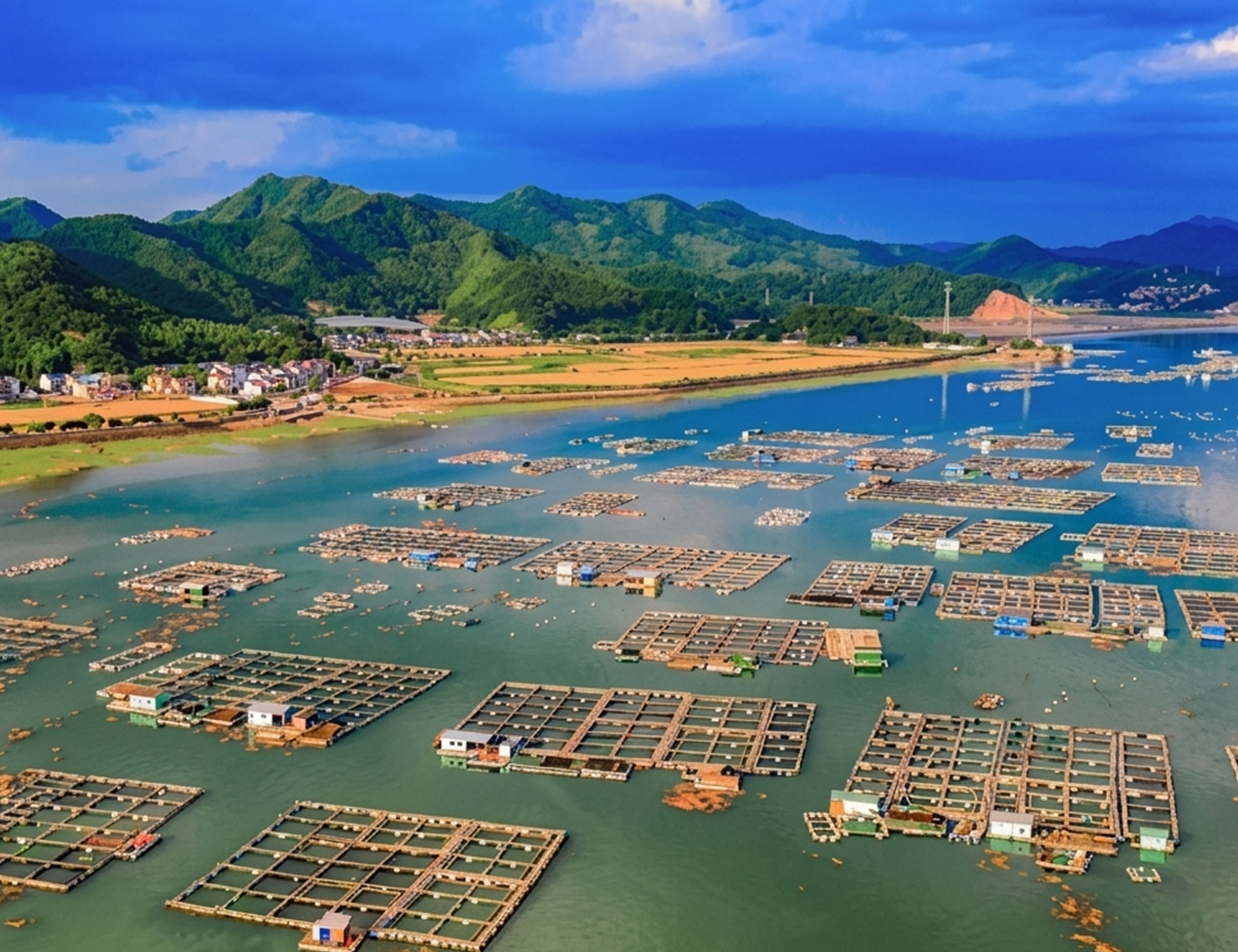 Marine Ranching-1.jpg