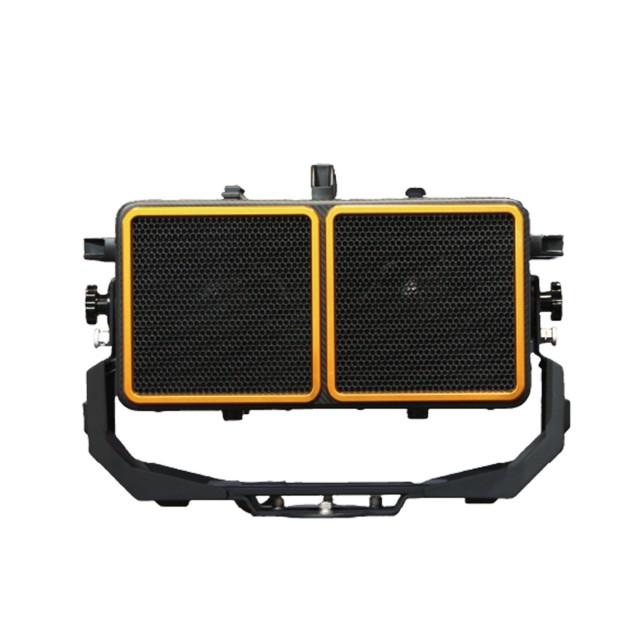 RP21C