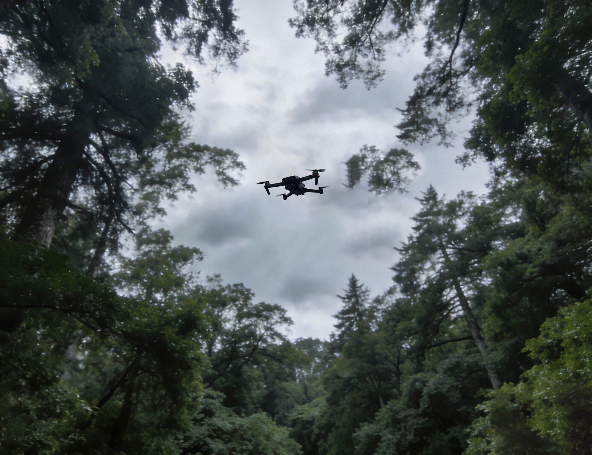 C-UAV